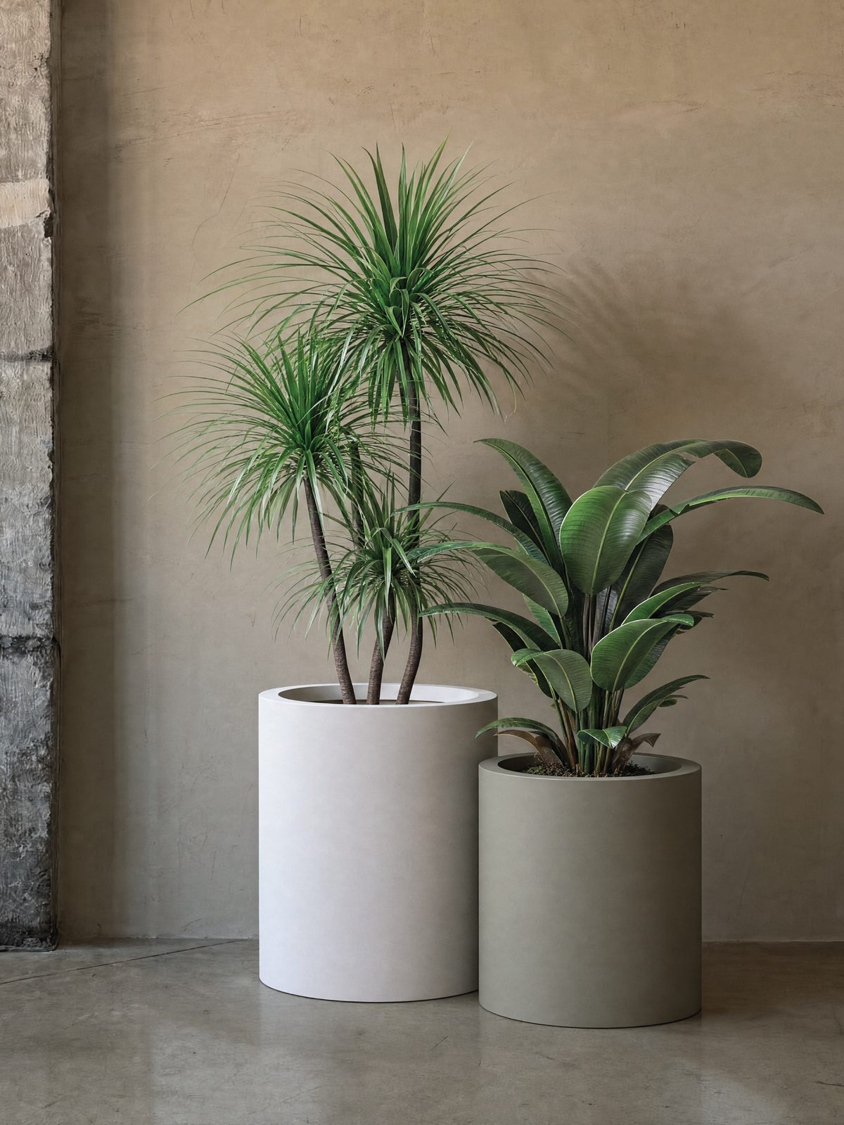 Planter 6400 — Sisplamo